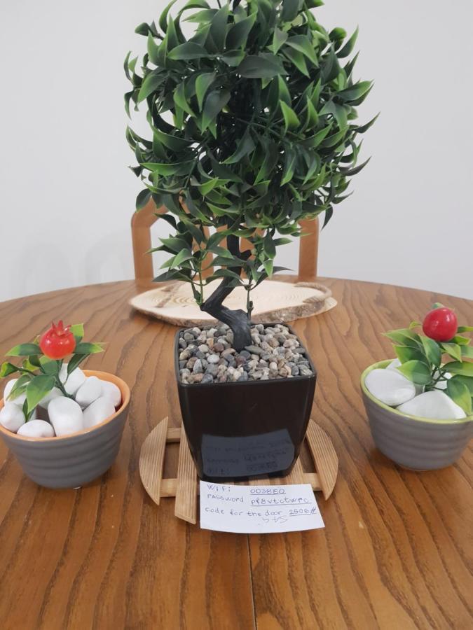 City Diamond Apartment 斯科普里 外观 照片