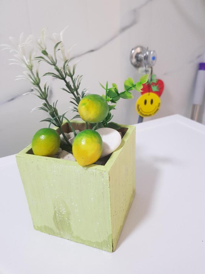 City Diamond Apartment 斯科普里 外观 照片