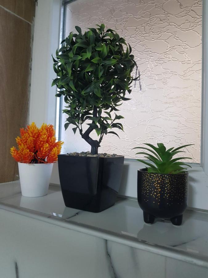 City Diamond Apartment 斯科普里 外观 照片